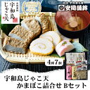 20位! 口コミ数「5件」評価「4.8」 じゃこ天 蒲鉾 詰め合わせ Bセット 安岡蒲鉾店 じゃこ天 錦巻 あげ巻 かまぼこ じゃこつみれ 冷蔵 郷土料理 おつまみ 肴 魚肉加工品･･･ 