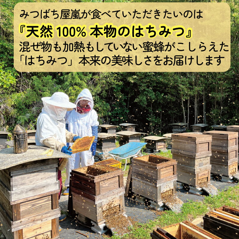 愛媛県宇和島市の画像3