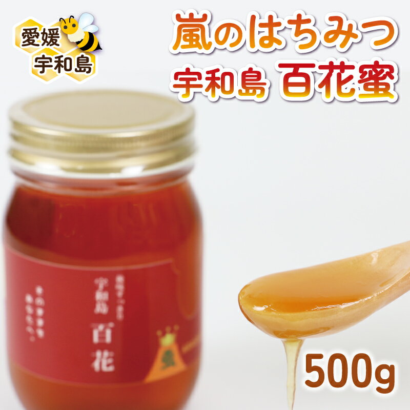 【ふるさと納税】 国産純粋はちみつ 嵐 の はちみつ 天然 100% 宇和島 百花蜜 みつばち屋嵐 非加熱 蜂蜜 人気 国産蜂蜜 天然蜂蜜 天然はちみつ 百花蜂蜜 百花はちみつ ピュア ハニー パン ジャム 国産 愛媛 F010-129002