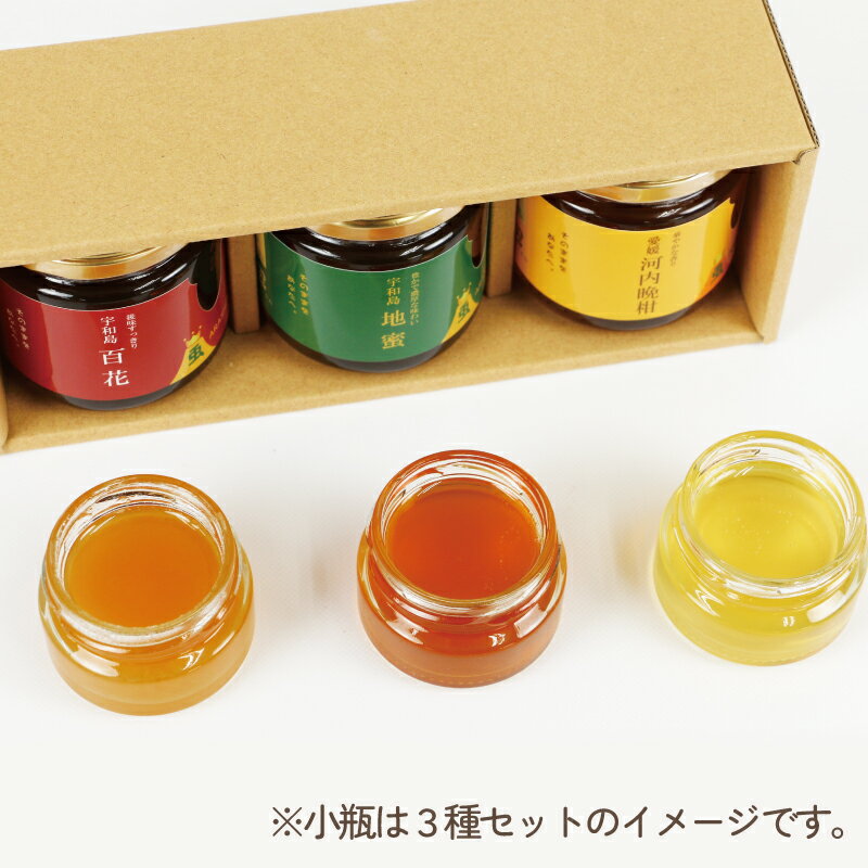 【ふるさと納税】 国産純粋はちみつ 嵐 の はちみつ 天然 100％ 食べ比べ 3種 セット 百花蜜 地蜜 河内晩柑 みつばち屋嵐 非加熱 蜂蜜 贈答用 プレゼント 希少 天然 100% 天然はちみつ 百花はちみつ 蜜柑 みかん mikan 晩柑 日本はちみつ 国産 愛媛 宇和島 F022-129001