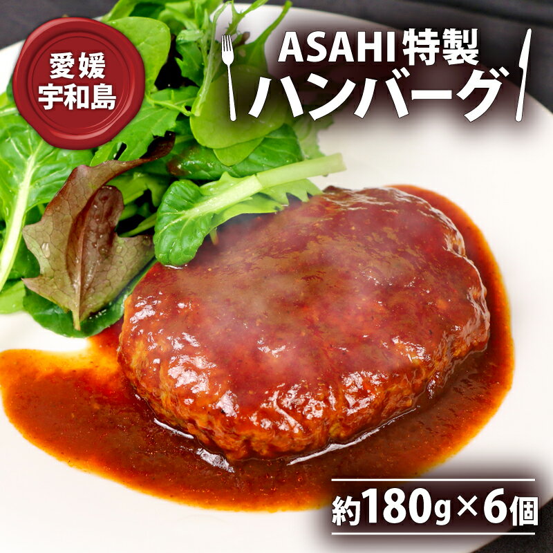 特製 手作り ハンバーグ 6個 セット ASAHI特製 株式会社きむら 人気 冷凍食品 冷凍ハンバーグ 肉 お肉 にく 惣菜 お惣菜 おかず お弁当 冷凍 温めるだけ 電子レンジで温めるだけ 小分け パック レンチン解凍 簡単 愛媛 宇和島