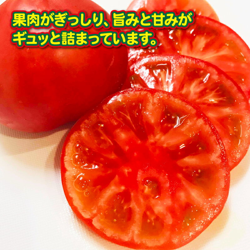 【ふるさと納税】 トマト 2種類 セット 桃太郎 千果 山本農園 野菜 甘い 新鮮 とまと 糖度 10度以上 ミニトマト プチトマト リコピン サラダ 食べ比べ 産地直送 数量限定 国産 愛媛 宇和島 F012-128001