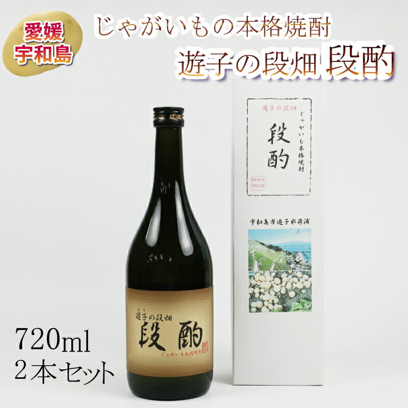 じゃがいも の 本格 焼酎 720ml 2本 「 遊子の段畑 段酌 ( だんしゃく ) 」 NPO法人段畑を守ろう会 ジャガイモ 男爵 芋 焼酎 芋焼酎 酒 ご当地 地酒 お祝い ギフト 限定 数量限定 国産 愛媛 宇和島