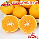 【ふるさと納税】 訳ありみかん ひめのつき 5kg 甘い 香り 爽やか...(4)