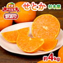 【ふるさと納税】 訳あり せとか 約4kg 柑橘の大トロ 杉本屋 先行予約 わけあり 訳アリ 訳あり品 果物 くだもの フルーツ 愛媛ミカン 愛媛蜜柑 愛媛みか...
