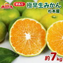 【ふるさと納税】 訳あり みかん 早生 温州 極早生 みかん 7kg ...(4)