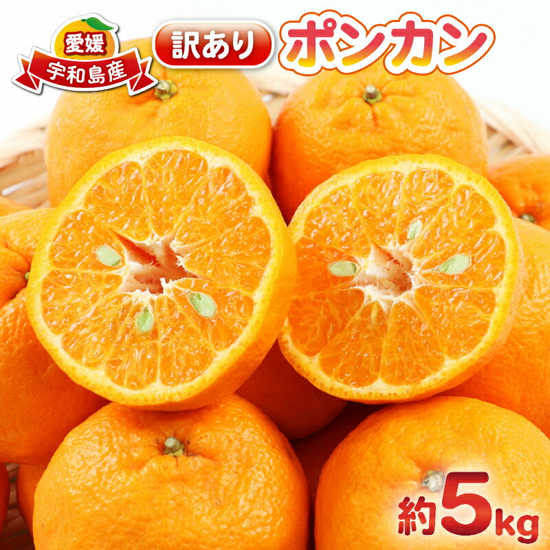 【ふるさと納税】 ポンカン 5kg 訳あり ぽんかん 杉本屋 訳あり品 先行予約 みかん 訳アリ 訳有りジューシー デザート コク 甘い 果物 くだもの フルーツ 柑橘 蜜柑 ビタミン お取り寄せ 愛媛みかん 愛媛蜜柑 愛媛県産 産地直送 数量限定 国産 愛媛 宇和島 B010-143005