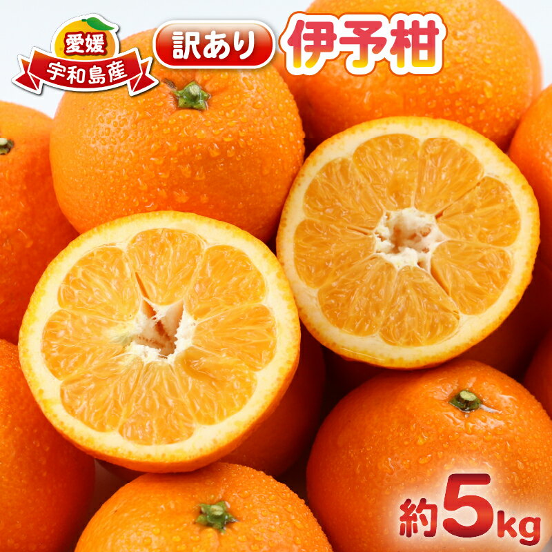 愛媛みかん 訳あり 伊予柑 5kg 杉本屋 わけあり 先行予約 予約受付 いよかん イヨカン 蜜柑 mikan 愛媛みかん 愛媛蜜柑 愛媛ミカン 柑橘 果物 くだもの 愛媛県産 ミカン 宇和島みかん フルーツ 数量限定 産地直送 数量限定 国産 愛媛 宇和島