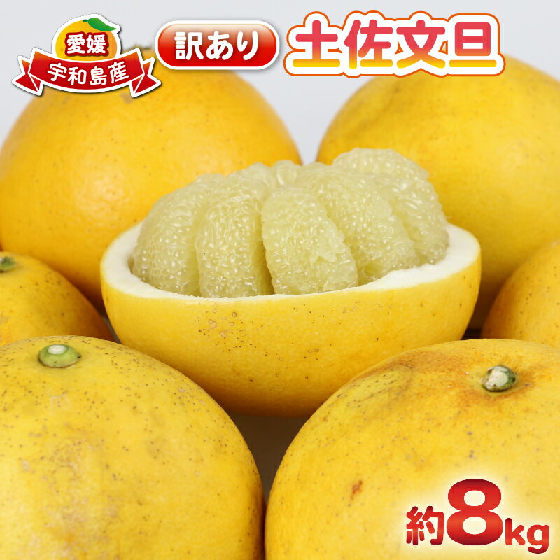 【ふるさと納税】 文旦 訳あり 土佐文旦 8kg 杉本屋 先行予約 わけあり 訳あり品 ぶんたん 文旦 分担 果物 くだもの フルーツ 柑橘 蜜柑 みかん mikan ミカン ビタミン デザート 愛媛みかん 愛媛ミカン 愛媛県産 産地直送 農家直送 数量限定 国産 愛媛 宇和島 B010-143010のサムネイル