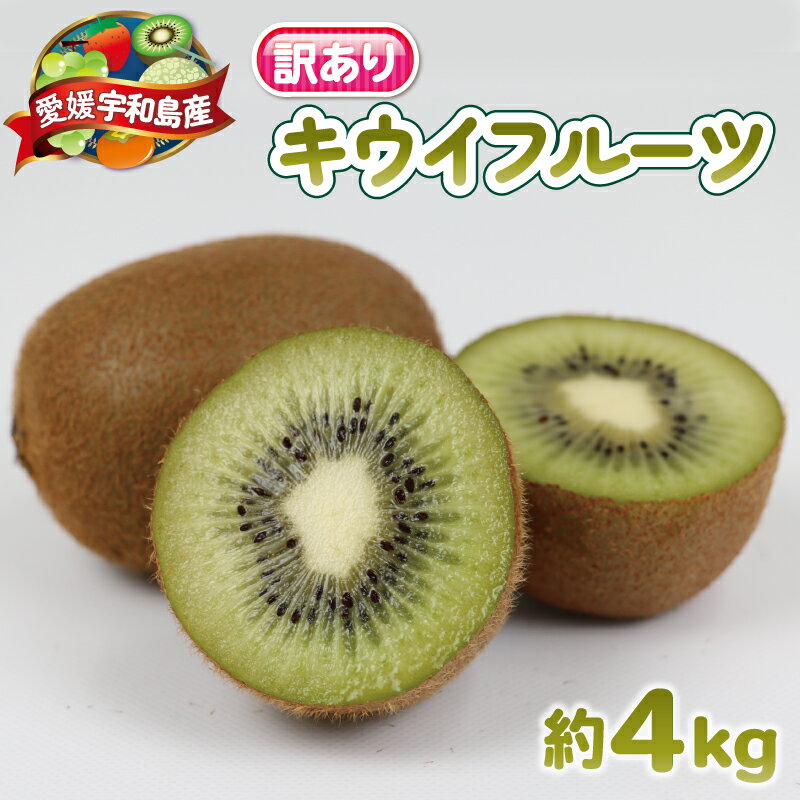 【ふるさと納税】 訳あり キウイ フルーツ 4kg 杉本屋 わけあり グリーンキウイ ヘイワード キウイフルーツ デザート スイーツ 先行予約 果物 くだもの ...