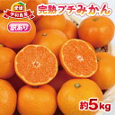 【ふるさと納税】 みかん 訳あり 完熟 プチ みかん 早生みかん 5kg 杉本屋 完熟みかん mikan わけあり 小玉みかん 小みかん 愛媛みかん 愛媛蜜柑 ...