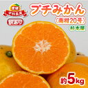 【ふるさと納税】 訳あり プチ みかん 南柑20号 5kg 杉本屋 わけあり 訳あり品 訳アリ 小玉みかん 小みかん 愛媛みかん 愛媛蜜柑 愛媛ミカン 温州 早生温州 温州みかん 果物 くだもの フルーツ 柑橘 蜜柑 mikan 産地直送 数量限定 国産 愛媛 宇和島 B010-143014