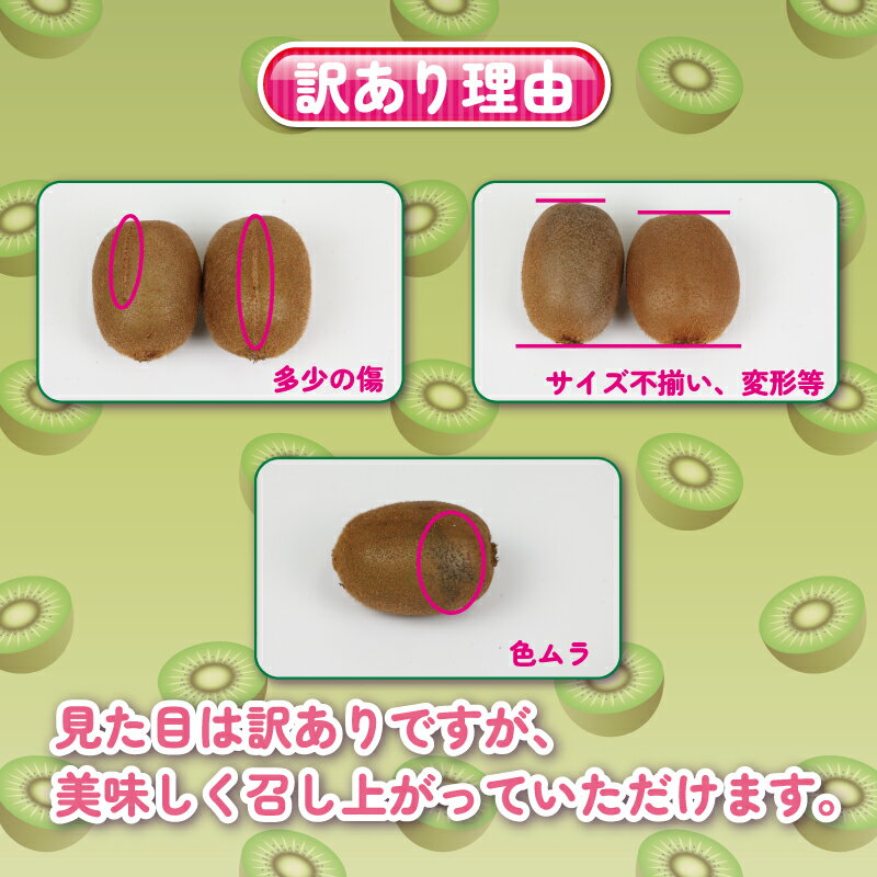 愛媛県宇和島市の画像2