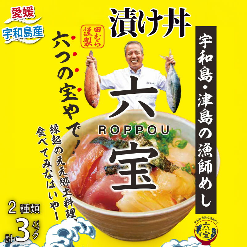 【ふるさと納税】 漬け丼 六宝 津島の漁師めし 鯛めし 料理田むら 鯛 ×2 マグロ ×1 真鯛 まぐろ マダイ タイ tai 刺身 お刺身 刺し身 漬け 海鮮丼 郷土料理 鯛飯 海鮮 人気 海の幸 魚介 人気加工品 冷凍 お手軽 便利 産地直送 国産 愛媛 宇和島 D015-140002