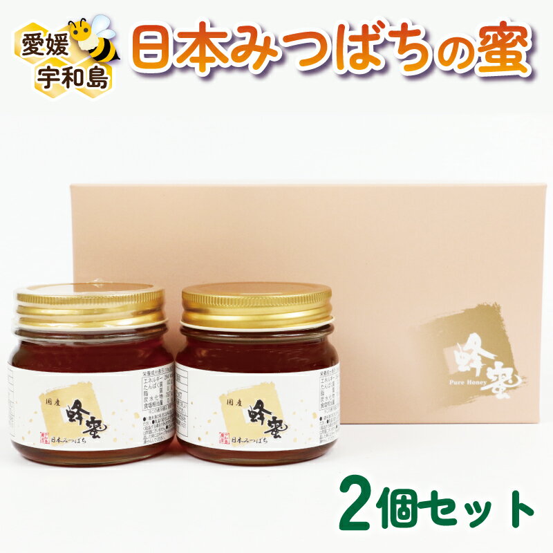 日本みつばち の 蜜 2個 セット 非加熱 宇和島農産 無添加 国産蜂蜜 国産はちみつ 日本蜜蜂 ニホンミツバチ 純粋はちみつ 生はちみつ 蜂蜜 はちみつ ハニー ギフト プレゼント 贈答用 産地直送 国産 愛媛 宇和島