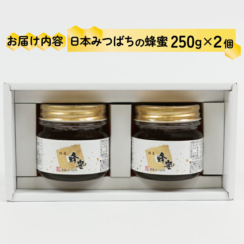 【ふるさと納税】 日本みつばち の 蜜 2個 セット 非加熱 宇和島農産 無添加 国産蜂蜜 国産はちみつ 日本蜜蜂 ニホンミツバチ 純粋はちみつ 生はちみつ 蜂蜜 はちみつ ハニー ギフト プレゼント 贈答用 産地直送 国産 愛媛 宇和島 F012-132002