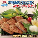 11位! 口コミ数「14件」評価「4.86」 じゃこ天 計40枚 小林フーズ 宇和島天 すり身 練り物 冷蔵 惣菜 フライ おでん 具 出汁 だし 10枚ずつ 小分け 郷土料理 酒 お･･･ 