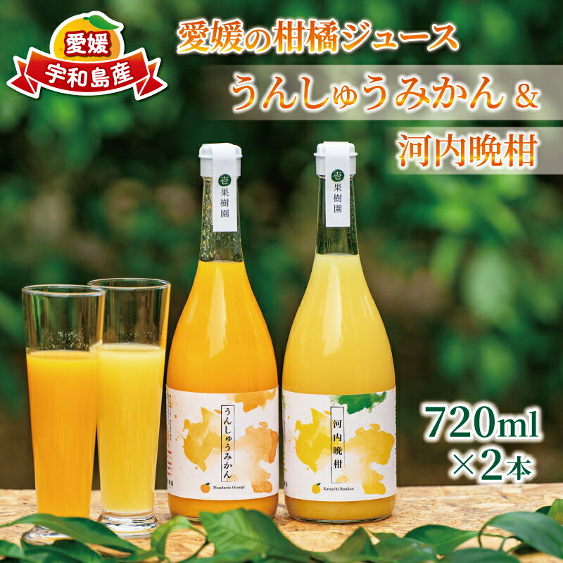 予約受付 愛媛 の 柑橘 ジュース 720ml 2本 セット 壱果樹園 みかん 河内晩柑 温州みかん ストレートジュース 100% 果汁 飲料 オレンジジュース ギフト 贈答用 うんしゅうみかん 果物 フルーツ 蜜柑 国産 愛媛 宇和島