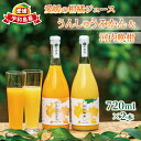 17位! 口コミ数「0件」評価「0」 予約受付 愛媛 の 柑橘 ジュース 720ml 2本 セット 壱果樹園 みかん 河内晩柑 温州みかん ストレートジュース 100% 果汁 ･･･ 