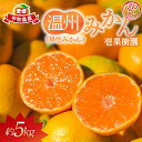 【ふるさと納税】 訳あり 早生 温州 みかん 5kg 壱果樹園 わけあり mikan 早生温州 温州みかん 早生みかん 果物 くだもの 愛媛みかん 愛媛蜜柑 愛...