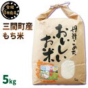 【ふるさと納税】 新米 もち米 5kg 喜菜家 三間町産 精米 お米 おこめ 米 こめ kome ※ 餅 もち 餅米 もちごめ 赤飯 おこわ 団子 おはぎ アレンジ いろいろ ふっくら ツヤツヤ もちもち 甘い 国産 愛媛 宇和島 G018-127003