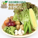 12位! 口コミ数「0件」評価「0」 季節のおまかせ 野菜 セット はまだ農園 小分け 季節 お任せ 食べ比べ 旬野菜 旬 詰め合わせ 季節限定 季節野菜 フレッシュ 農家直送･･･ 