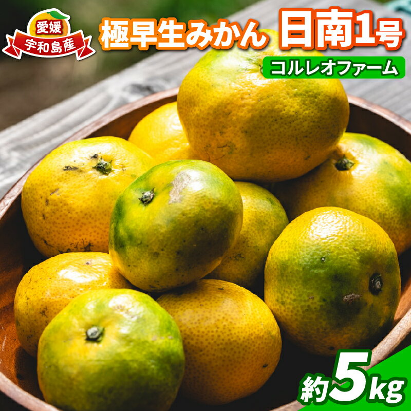 蜜柑 愛媛 極早生 みかん 日南1号 5kg S~L サイズ 混合 先行予約 コルレオファーム 極早生みかん mikan さっぱり 爽やか 甘味 酸味 果物 フルーツ 柑橘 農家直送 産地直送 数量限定 国産 宇和島