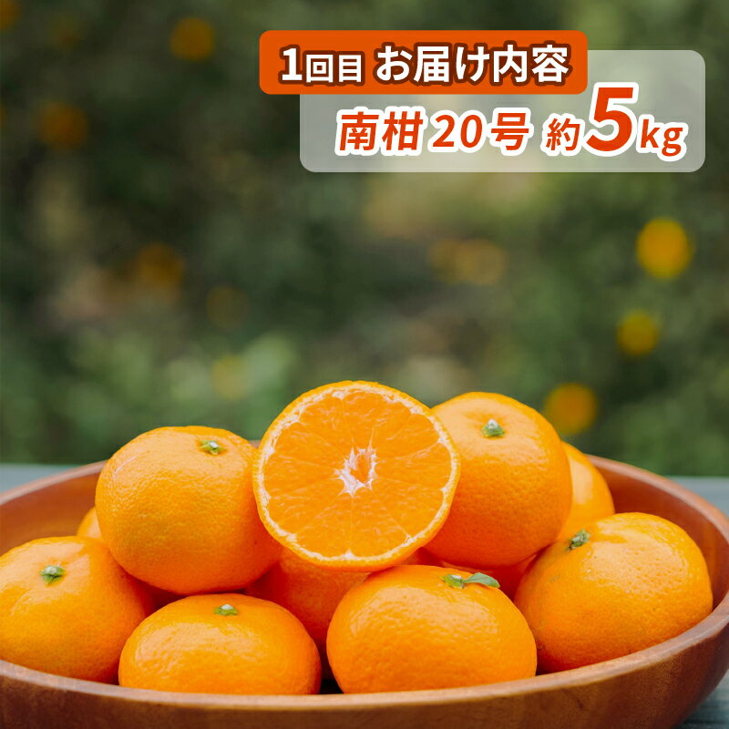 【ふるさと納税】 シトラス フルーツ 3回 定期便 コルレオファーム 南柑20号 ブラッドオレンジ モロ 甘平 はるか ポンカン タロッコ せとか 清見 不知火 詰め合わせ 愛媛ミカン 愛媛みかん みかん 柑橘 mikan果物 くだもの 数量限定 先行予約 愛媛 宇和島 B034-145017