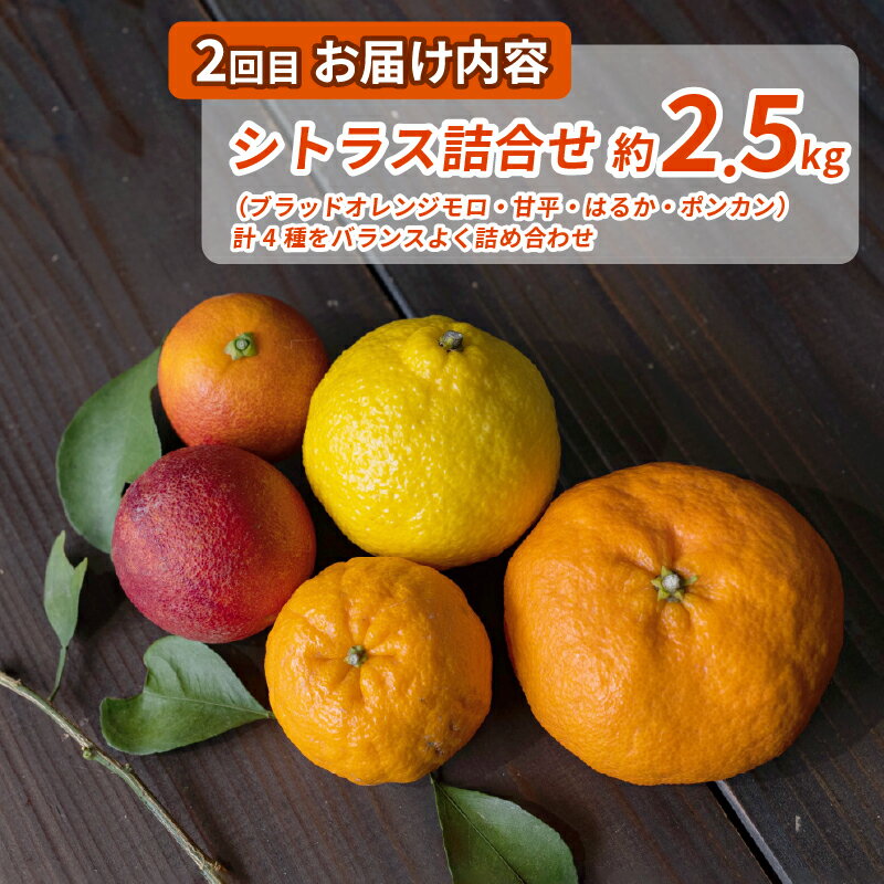【ふるさと納税】レッドメロン 5～6玉 1玉約1.6kg くだもの 果物 果実 フルーツ メロン ノースランドレッドメロン 北海道 浦臼町 送料無料 【2025年7月上旬～2025年7月下旬発送予定】