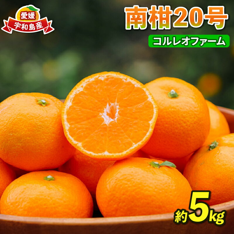 楽天市場】南柑20 10kgの通販 楽天市場】南柑20 10kgの通販
