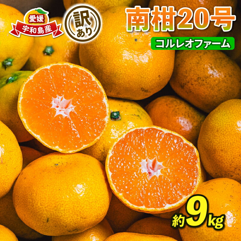訳あり 南柑20号 温州みかん 9kg コルレオファーム わけあり 愛媛ミカン 愛媛みかん みかん フルーツ 柑橘 蜜柑 mikan 温州 果物 くだもの 人気のみかん 美味しいみかん 濃厚みかん 温州蜜柑 産地直送 数量限定 先行予約 国産 愛媛 宇和島