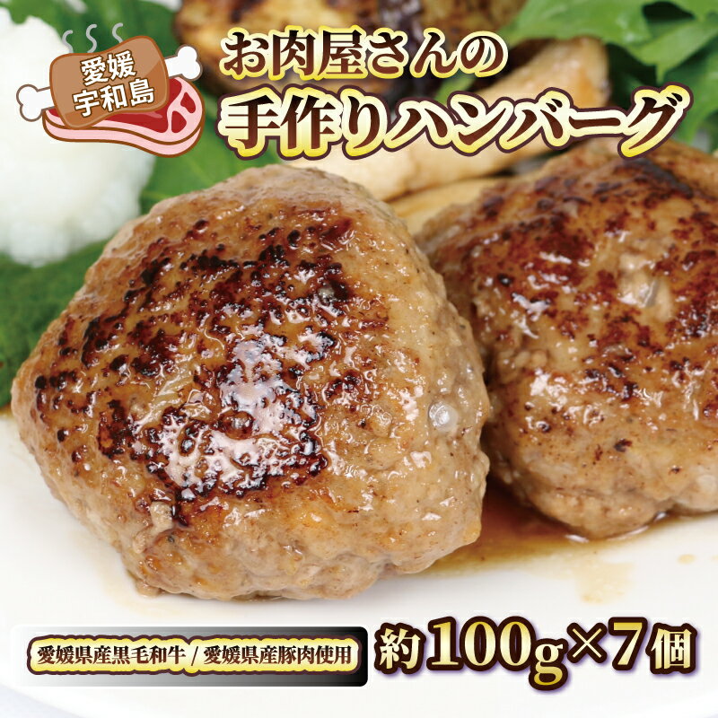 【ふるさと納税】 お 肉屋 さんの 手作り ハンバーグ 泉 精肉店 100g 7個 黒毛和牛 豚 合い挽き 肉 お肉 にく 惣菜 おかず お弁当 冷凍 小分け 真空パック 焼くだけ 簡単調理 弁当 和風 デミグ…