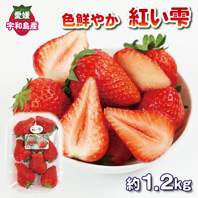 【ふるさと納税】色鮮やか いちご 紅い雫 1.2kg ( 3
