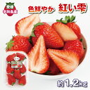 【ふるさと納税】 色鮮やか いちご 紅い雫 1.2kg ( 300g × 4パック ) 西田農園 甘い あまい 苺 イチゴ ストロベリー 旬 果物 朝食 ヨーグルト フルーツ デザート スイーツ スムージー ジャム おやつ 国産 愛媛 宇和島 F015-124002