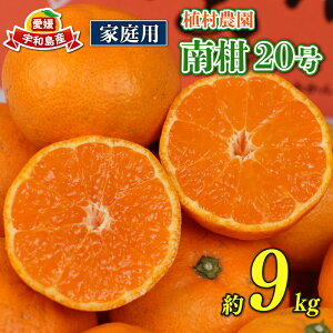 【ふるさと納税】 温州みかん 南柑20号 9kg 家庭用 植村農園 先行予約 mikan みかん 温州蜜柑 愛媛ミカン 愛媛蜜柑 愛媛みかん 温州 蜜柑 果物 くだもの フルーツ 柑橘 農家直送 産地直送 数量限定 国産 愛媛 愛媛産 宇和島 B010-153004