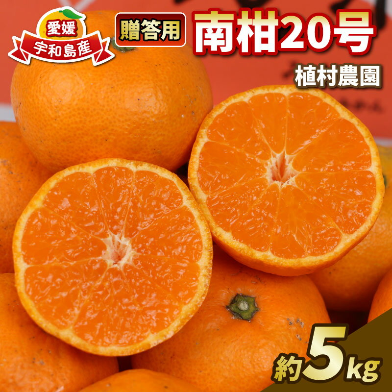 楽天市場】愛媛みかん 南柑20号の通販 楽天市場】愛媛みかん 南柑20号の通販