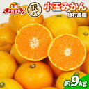 【ふるさと納税】 訳あり 小玉 みかん 9kg 2S 〜 3S サイズ 不揃い 植村農園 早生 南柑20号 早生温州 早生みかん 温州みかん わせ 果物 くだも...