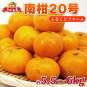 【ふるさと納税】 南柑20号 5.5kg ~ 6kg サイズミックス ふるくとファーム 先行予約 かなこちゃんち 温州みかん 果物 くだもの フルーツ 柑橘 みかん 蜜柑 mikan 愛媛ミカン 愛媛蜜柑 愛媛みかん 農家直送 産地直送 数量限定 国産 愛媛 宇和島 B015-037009