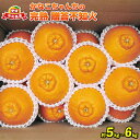【ふるさと納税】 不知火 完熟 5~6kg 愛媛みかん 贈答用 ふるくとファーム 先行予約 かなこちゃんち しらぬい 果物 くだもの フルーツ 柑橘 かんきつ みかん 蜜柑 mikan 愛媛ミカン 愛媛蜜柑 愛媛みかん 農家直送 産地直送 数量限定 国産 愛媛 宇和島 B015-037002