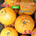 【ふるさと納税】 訳あり 不知火 約5.5kg ふるくとファーム しらぬい 先行予約 果物 くだもの わけあり 訳あり品 フルーツ 柑橘 蜜柑 みかん 不知火みかん mikan ミカン グルメ 訳あり品 愛媛みかん 愛媛ミカン 愛媛蜜柑 数量限定 国産 愛媛 宇和島 B010-037008