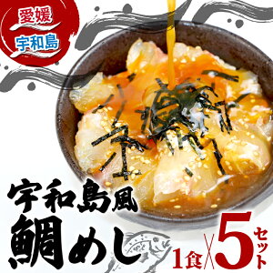 【ふるさと納税】 \10営業日以内発送/ 鯛めし 5食 セット 宇和島風 南予ビージョイ 生鯛めし 真鯛 鯛 マダイ タイ tai 刺身 お刺身 刺し身 漬け丼 漬け 海鮮丼 水産 加工品 海鮮 鯛飯 海鮮 人気 海の幸 魚介 冷凍 小分け パック お手軽 便利 国産 愛媛 宇和島 D010-150011