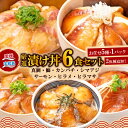 【ふるさと納税】 \10営業日以内発送/ 海鮮丼 漬丼 厳選 活締め 全7種 漬け丼 6食 セット 南予ビージョイ 鮭 サーモン 鰤 ブリ 真鯛 鯛 カンパチ ...