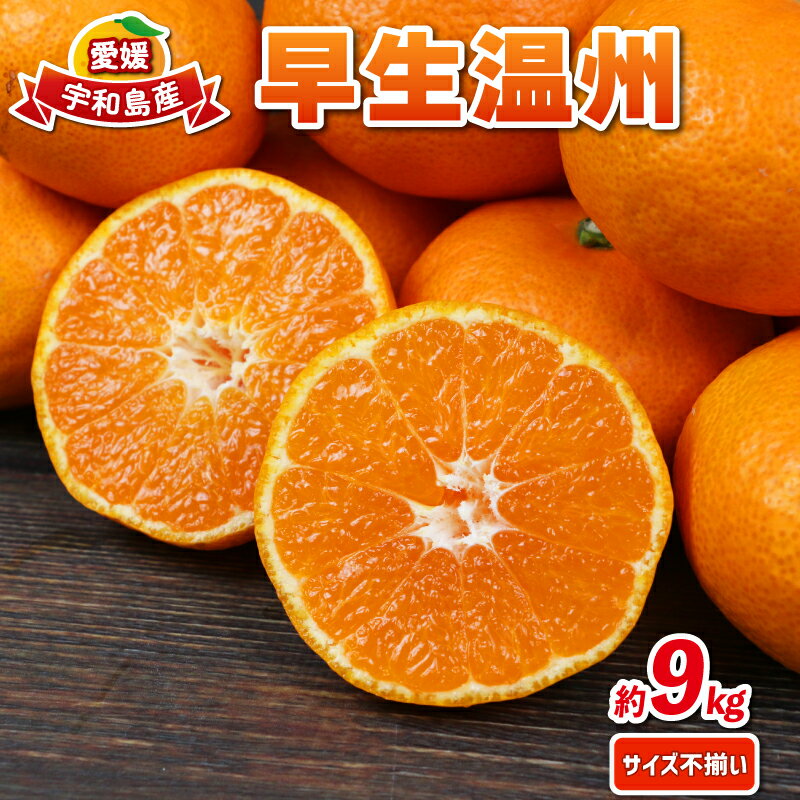 愛媛みかん 早生温州 9kg サイズ不揃い ミックス 兵頭農園 みかん mikan 愛媛ミカン 愛媛蜜柑 早生 温州 温州みかん 精品 規格外混合 不揃い 果物 くだもの フルーツ 柑橘 蜜柑 産地直送 農家直送 数量限定 国産 愛媛県産 愛媛 宇和島