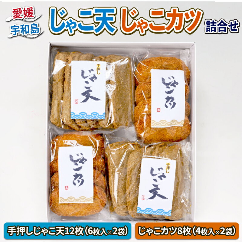 【ふるさと納税】 じゃこ天 12枚 じゃこカツ 8枚 詰合せ セット 大山かまぼこ店 すり身 練り物 冷蔵 ...