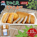 【ふるさと納税】 \10営業日以内発送/ じゃこ天 10枚 じゃこカツ 5枚 詰合せ セット 大山かまぼこ店 宇和島すり身 練り物 冷蔵 惣菜 フライ おでん ...