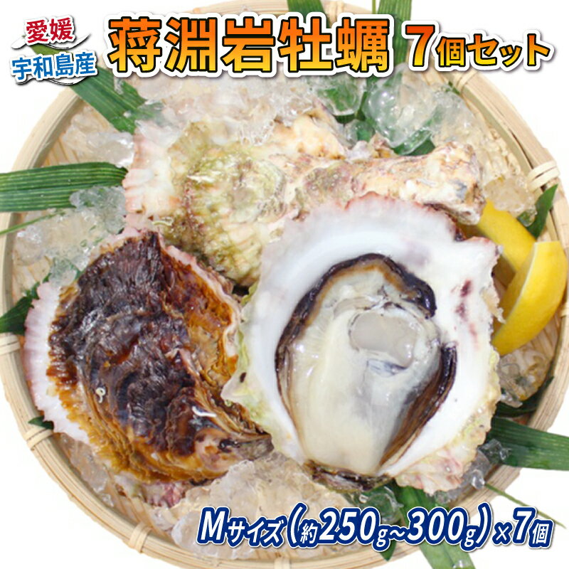 【ふるさと納税】 蒋淵 岩牡蠣 7個 250g~300g 愛