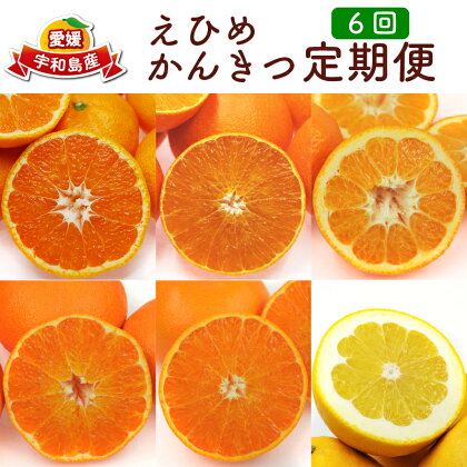 定期便 6回 日の丸みかん 5kg 紅まどんな 10~15玉 伊予柑 5kg 甘平 5~10玉 せとか 5~10玉 河内晩柑 18~20玉前後 サイズ ミックス 愛媛県観光物産協会 果物 フルーツ 柑橘 みかん 産地直送 農家直送 数量限定 国産 愛媛 宇和島 B115-113001