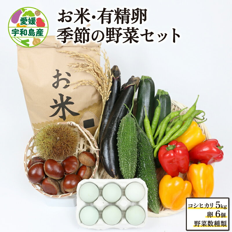 2位! 口コミ数「0件」評価「0」 米 有精卵 季節の野菜セット もりもり農園 お米 青い 卵 平飼い アローカナ 季節 お任せ 野菜セット 旬 季節野菜 新鮮 産地直送 農･･･ 