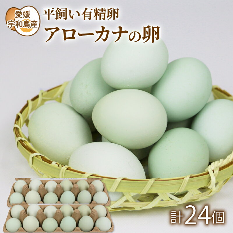 12位! 口コミ数「0件」評価「0」 平飼い有精卵 アローカナの卵 もりもり農園 青い卵 平飼い 有精卵 採れたて 希少 国産 愛媛 宇和島 F010-157001