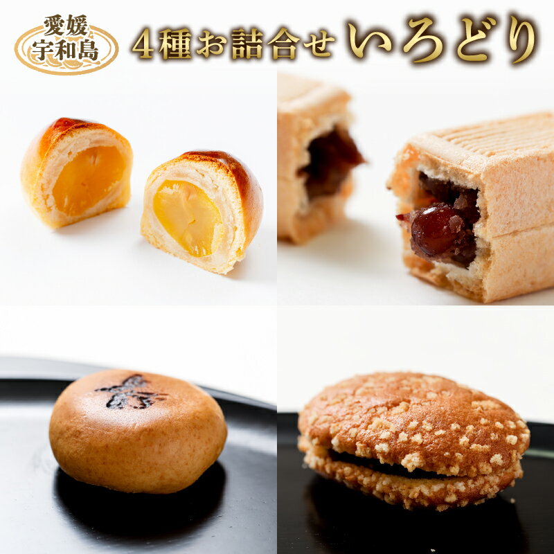 【ふるさと納税】 和菓子 4種 詰合せ 「いろどり」 御粽司 百波 父の日 最中 モナカ 大番 粒栗 蜜六 セット あんこ 小豆 栗 くり 栗饅頭 栗まんじゅう 蜜饅頭 饅頭 老舗 郷土菓子 菓子 銘菓 名物 手作り 贈答用 数量限定 国産 愛媛 宇和島 J012-163003